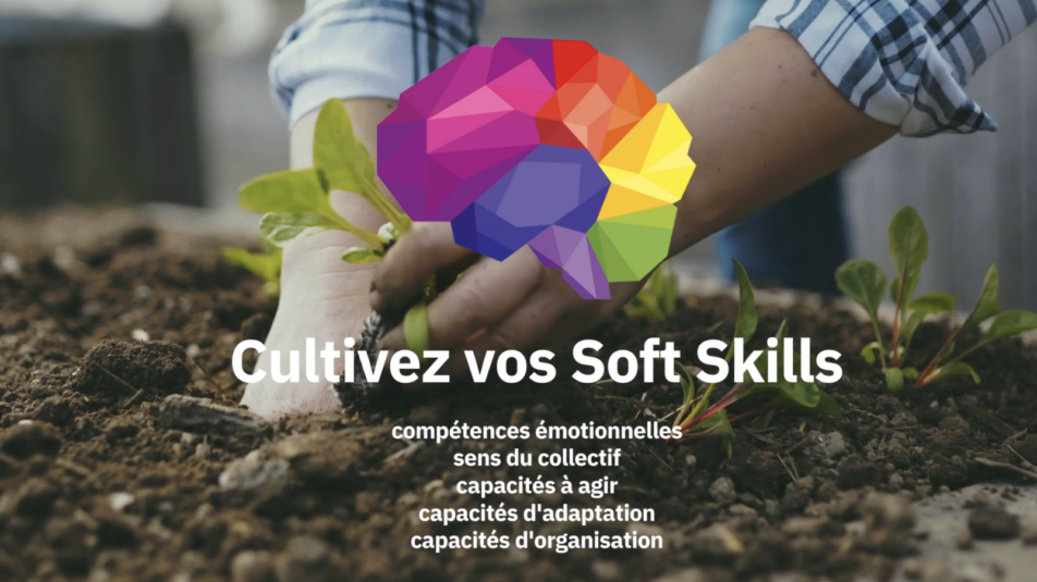 Formation – Cultivez vos Soft Skills